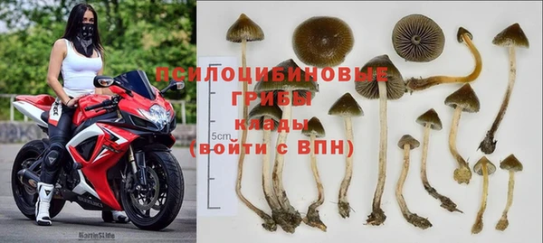 apvp Михайловск