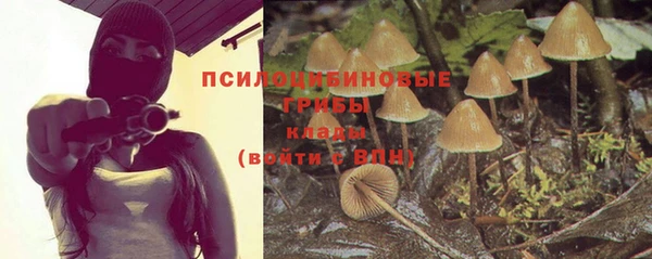apvp Михайловск