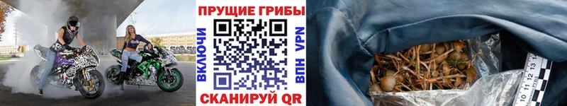 KRAKEN ССЫЛКА Козьмодемьянск Галлюциногенные грибы ЛСД